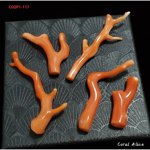 ?Coral珊寶手作-天然momo珊瑚自然枝 CO2P1-117